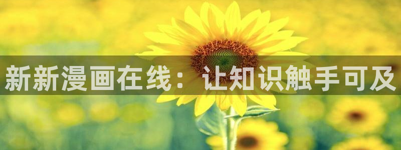 免费yy漫画：新新漫画在线：让知识触手可及