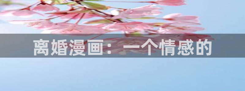 海贼王yy漫画：离婚漫画：一个情感的