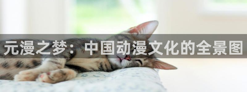 yy漫画网页版：元漫之梦：中国动漫文化的全景图