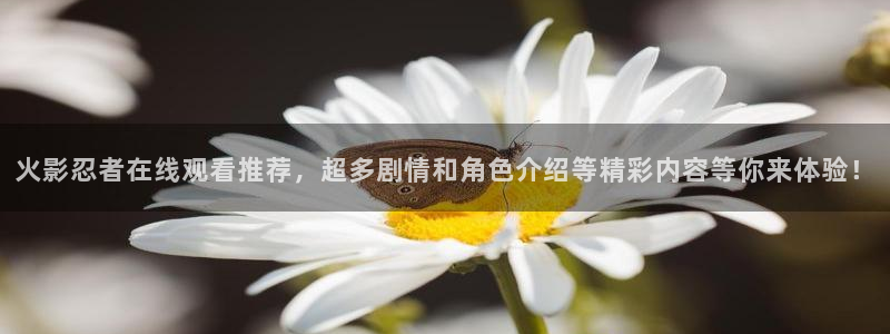 yy漫画com：火影忍者在线观看推荐，超多剧情和角色介绍等精彩内容等你来体验！